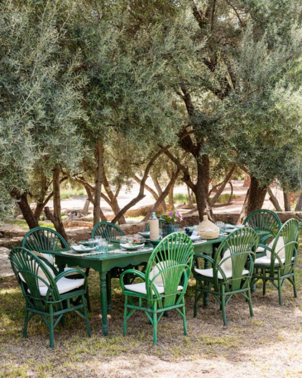 Olive Tree Feed - Image 2
