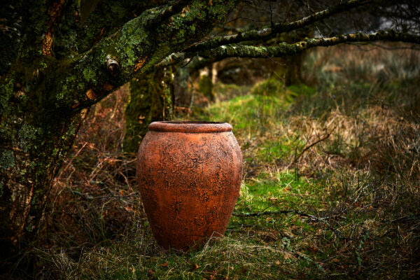 Apollo Pot