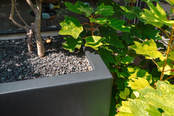 Fibreglass Buxus Planters - Image 4