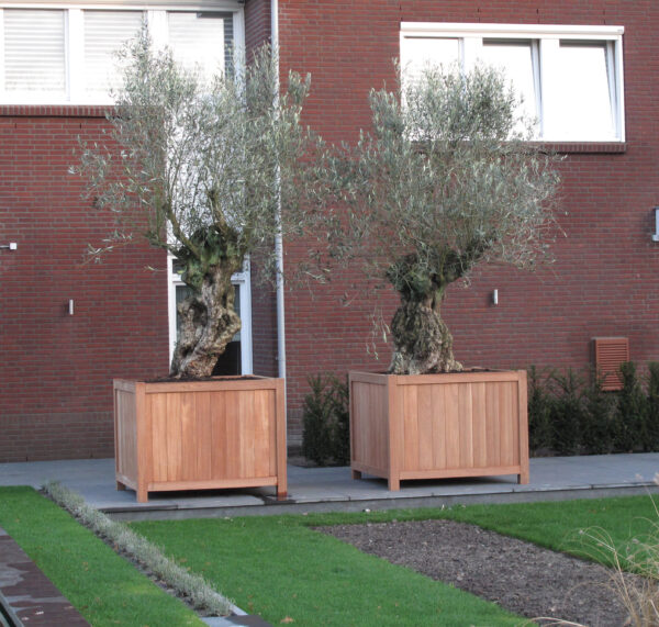 Valencia Hardwood Planter - Image 3