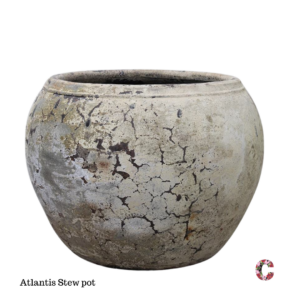 Atlantis Stew pot
