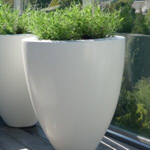 Fibreglass Glossy Canna Planter