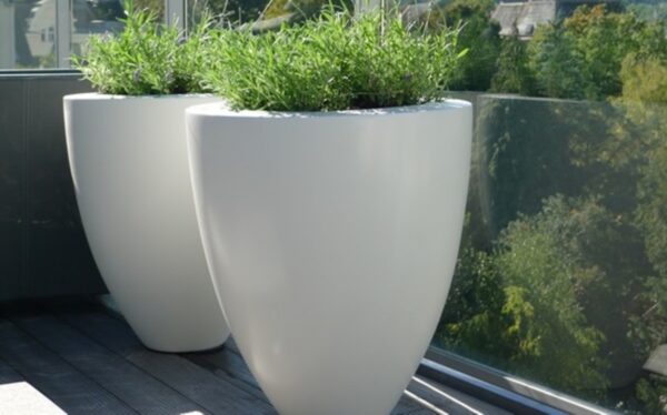 Fibreglass Glossy Canna Planter