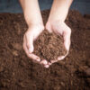 Compost - 50L