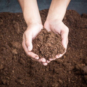 Compost