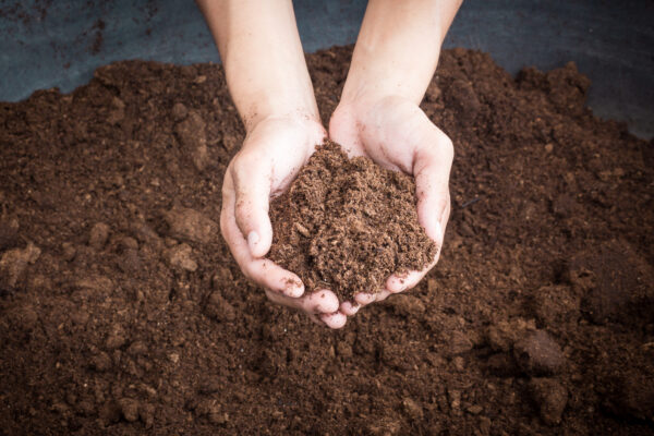 Compost