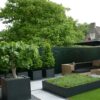 Fibreglass Buxus Planters - 400 x 400 x 400mm