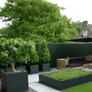 Fibreglass Buxus Planters