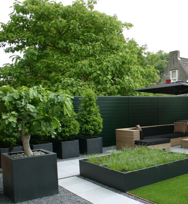 Fibreglass Buxus Planters
