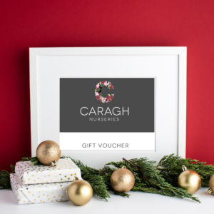 Vouchers