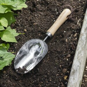 Hawkesbury Hand Scoop