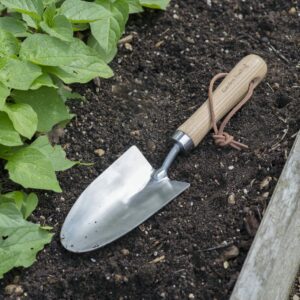 Hawkesbury Hand Trowel