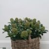 Kubu Oval Basket with Handle