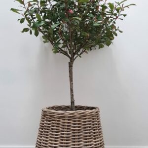 Kubu Round Basket