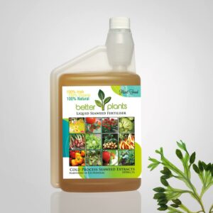 Liquid Seaweed Fertiliser