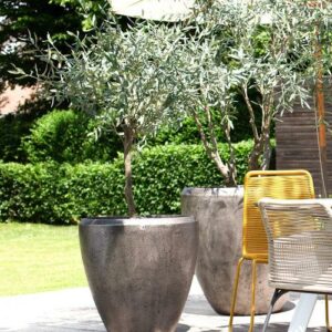 Lotus Planter