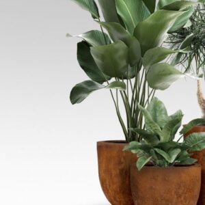 Napoli Pot