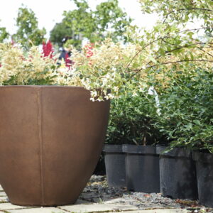 Lucia Concrete Fibre Planters in Coffee Bean