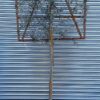 Olive / Olea europaea 1/2 Standard Espalier - 35L 1/2 std 10-12cm girth, frame 120cm wide x 100cm high