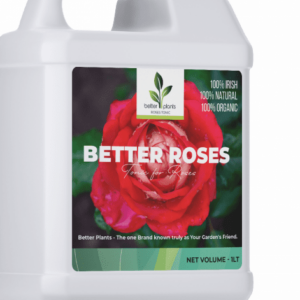 Rose Tonic