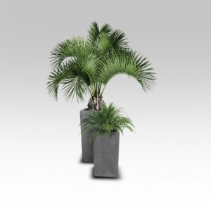 Weathered Cement Tall Terrazzo Pots