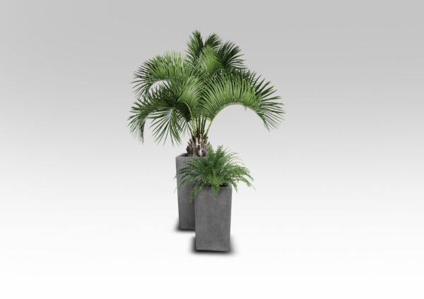 Weathered Cement Tall Terrazzo Pots