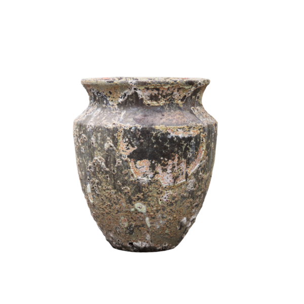 Skorpio Atlantis Pot - Image 2