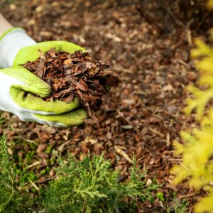 Bark Mulch - Mini chip