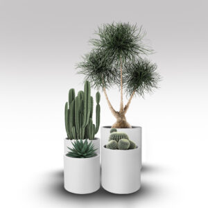 Paros Contemporary Pot in Maya