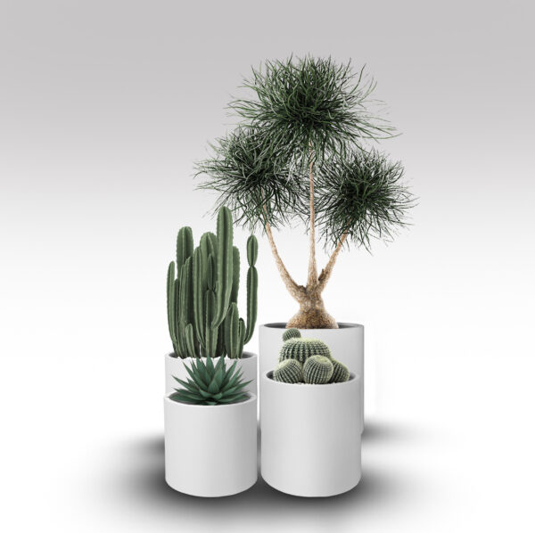 Paros Contemporary Pot in Maya