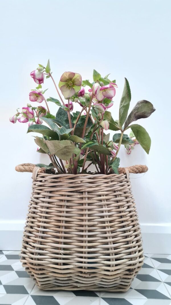 Kubu Square basket planter with round top - Image 2