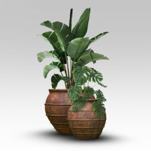 Taranto pot