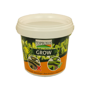 Topbuxus Grow