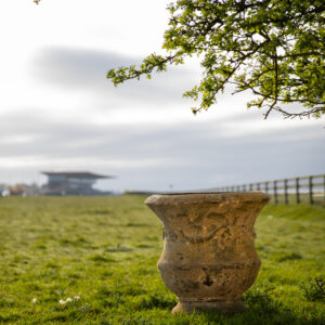 Thistle urn