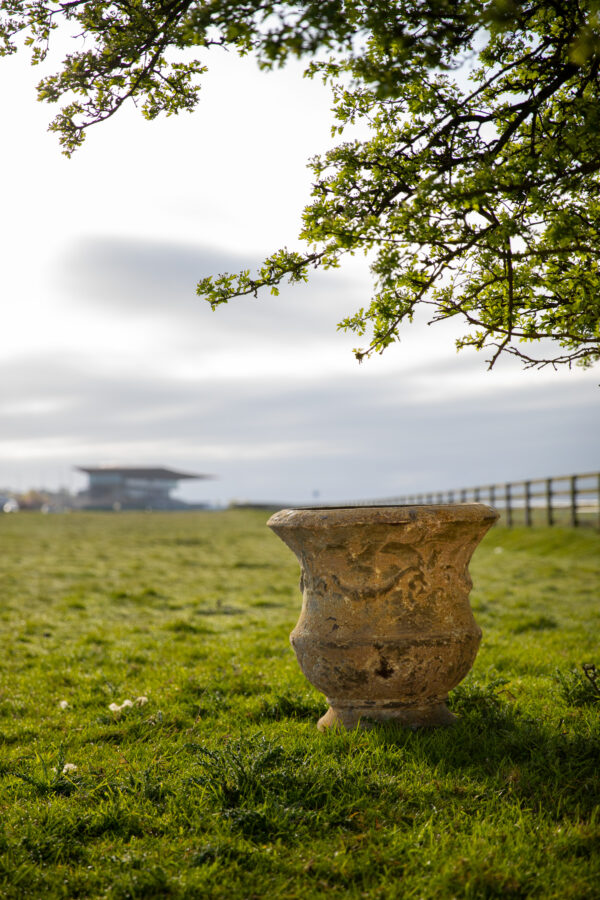 Thistle urn