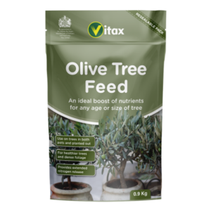 Olive Tree Feed