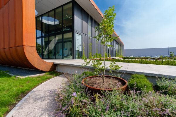 Corten Steel Atlas Pot - Image 6
