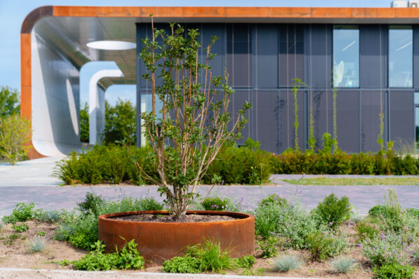 Corten Steel Atlas Pot - Image 7
