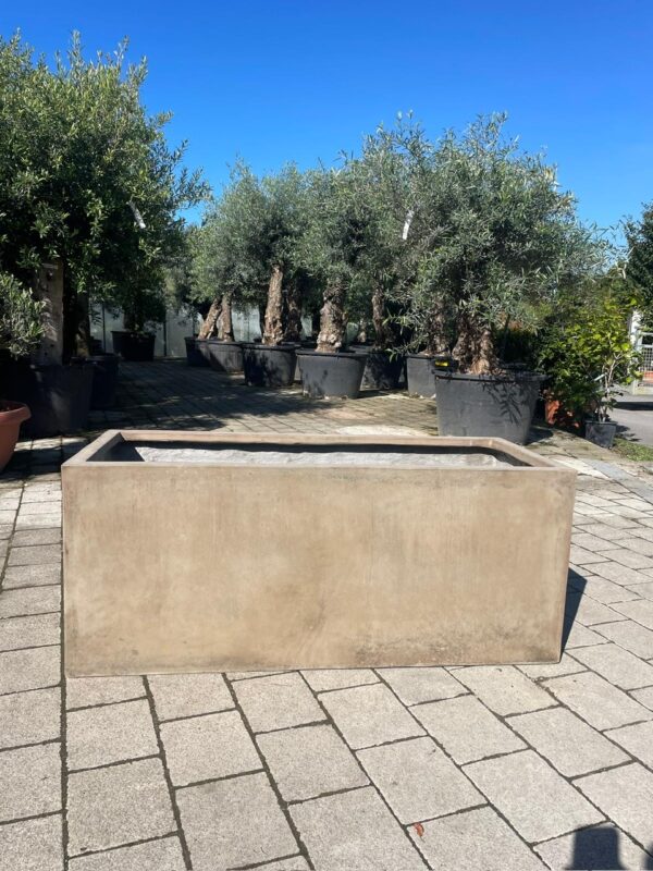 Maya Cream Trough Planters - Image 2
