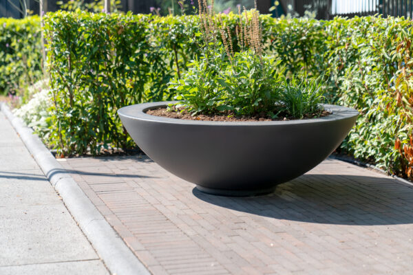 Ceder Fibreglass planter