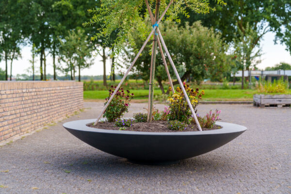 Ceder Fibreglass planter - Image 3