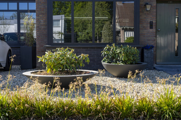 Ceder Fibreglass planter - Image 2