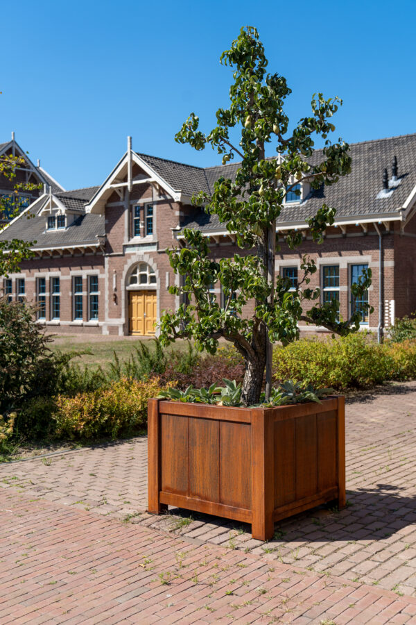 Corten Steel York Planter - Image 3