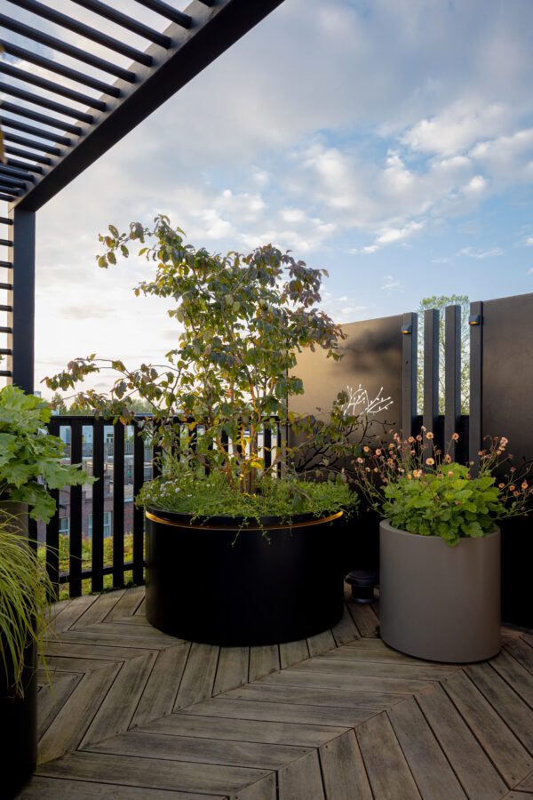 Corten Steel Round in-lite Ready - Image 2