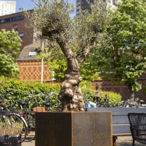 Corten Steel Andes Pot with feet