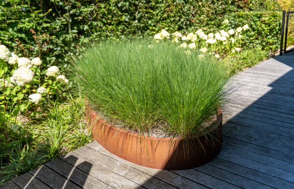 Corten Steel Ellipse Planter - Image 2