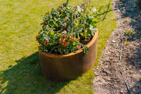 Corten Steel Ellipse Planter - Image 4