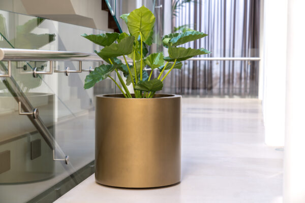 Aluminium Gold Atlas Planter