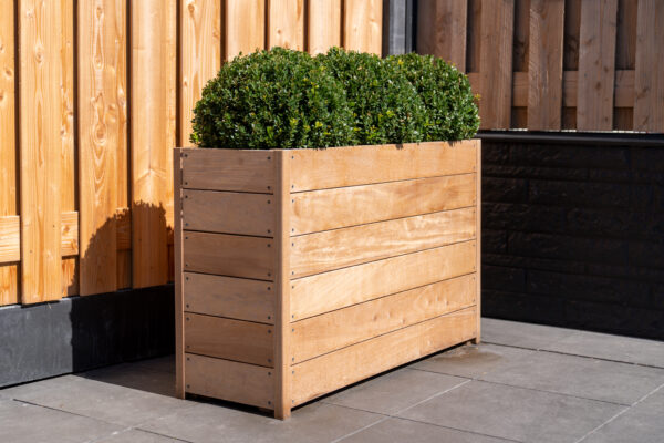 Fleming Hardwood Trough