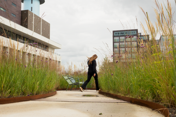 Corten Steel Edging - Image 2